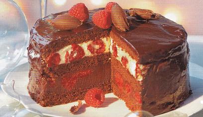 pave-chocolat-framboises.jpg