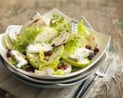 salade-pomme-chevre-champ.jpg