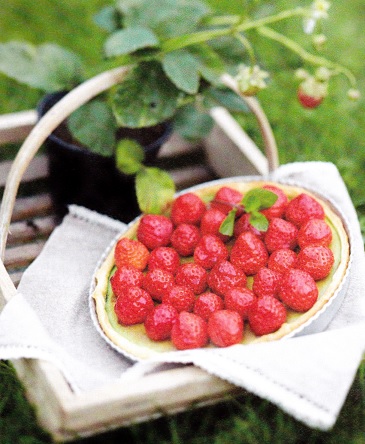 tarte-fraises-menthe.jpg
